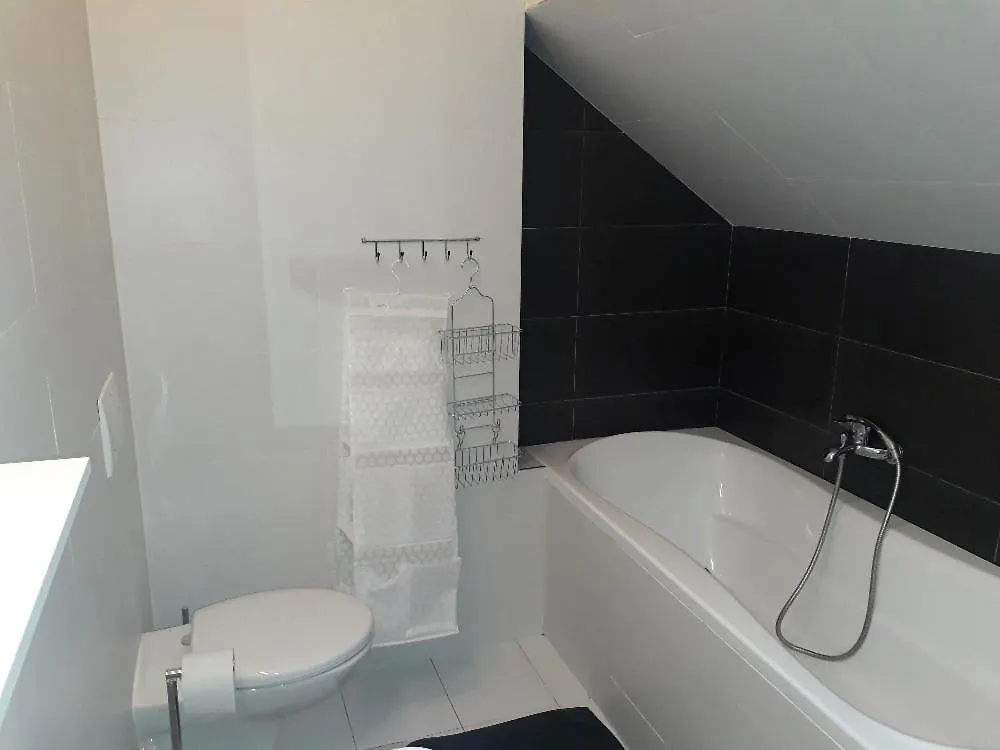 Big Flat In The Centre City Prague With Terrace Tjeckien