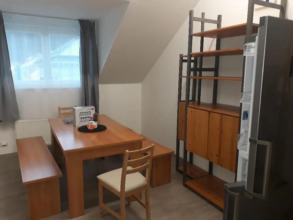 Big Flat In The Centre City Prague With Terrace Lägenhet